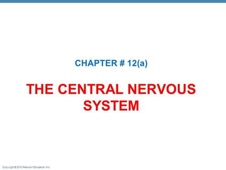 THE CENTRAL NERVOUS SYSTEM