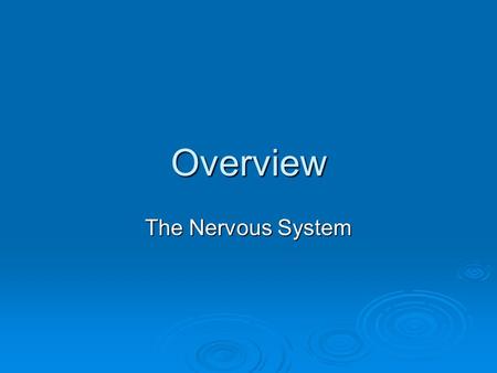 Overview The Nervous System. The nervous system of the human is the most highly organized system of the body. The overall function of the nervous system.