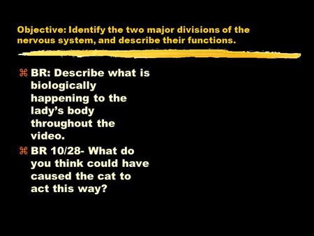 Objective: Identify the two major divisions of the nervous system, and describe their functions. zBR: Describe what is biologically happening to the lady’s.