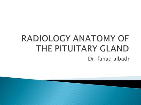 RADIOLOGY ANATOMY OF THE PITUITARY GLAND