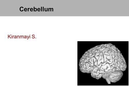 Cerebellum Kiranmayi S..