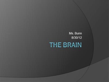 Ms. Bunn 8/30/12. There are 4 lobes of the brain  The frontal lobe- top front  The parietal lobe- middle section  The temporal lobe- below the parietal.