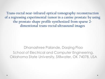 Trans-rectal near-infrared optical tomography reconstruction of a regressing experimental tumor in a canine prostate by using the prostate shape profile.