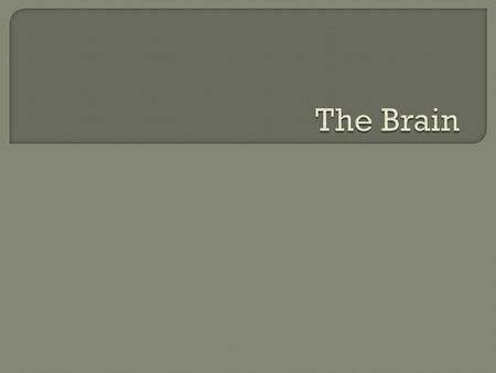  The cerebrum or cortex is the largest part of the human brain, associated with higher brain function such as thought and action. The cerebrum controls.