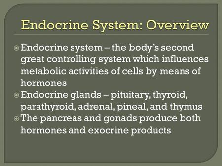 Endocrine System: Overview