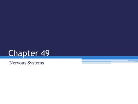 Chapter 49 Nervous Systems.