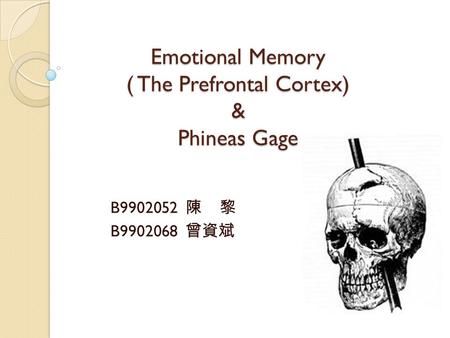 Emotional Memory ( The Prefrontal Cortex) & Phineas Gage B9902052 陳 黎 B9902068 曾資斌.