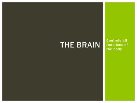 Controls all functions of the body THE BRAIN PARTS OF THE BRAIN Frontal Lobe: Planning Movement speech Pituitary Gland: Influences growth Temporal Lobe: