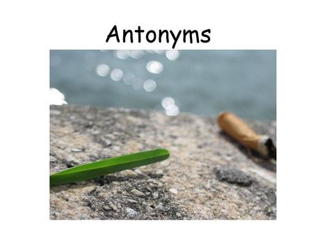 Antonyms.