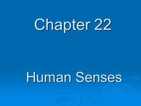 Chapter 22 Human Senses.