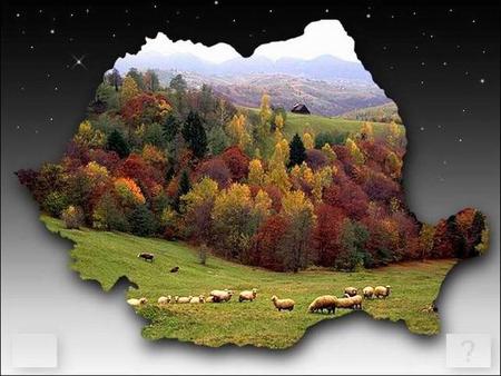 Romania’s neighbours: Moldavia Republic Ukraine Hungary Serbia Bulgaria The Black Sea Romania’s relief is harmonious and full of variety in landscapes.