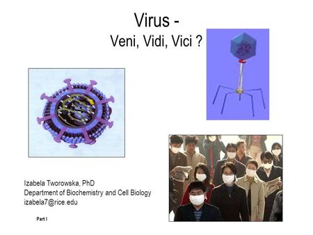 Virus - Veni, Vidi, Vici ? Izabela Tworowska, PhD Department of Biochemistry and Cell Biology Part I.