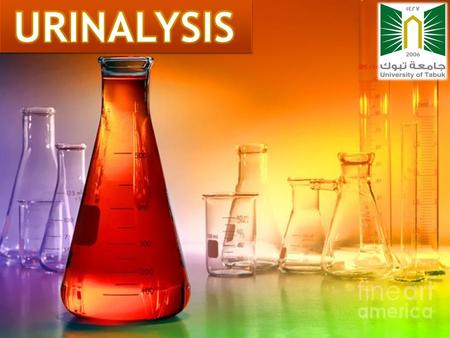 URINALYSIS.