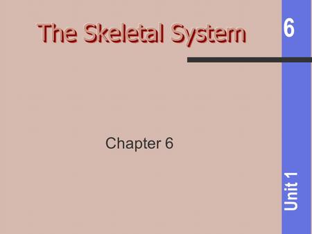 The Skeletal System Chapter 6.