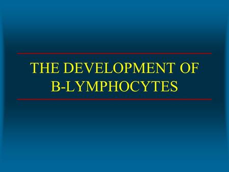 THE DEVELOPMENT OF B-LYMPHOCYTES. STAGES IN LIFE CYCLE OF B-LYMPHOCYTES *Stage 1 *Maturation in bone marrow with development of functional receptors *Stage.