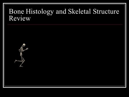 Bone Histology and Skeletal Structure Review