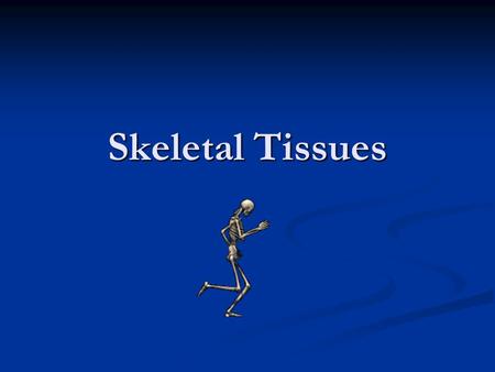 Skeletal Tissues.