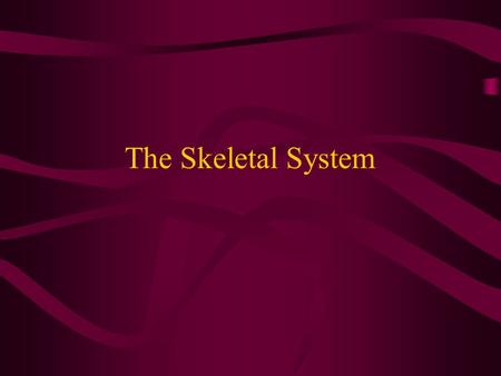 The Skeletal System.