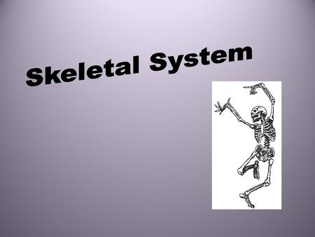 Skeletal System.