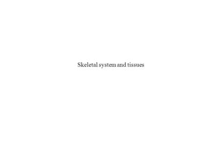 Skeletal system and tissues. Functions of skeletal system Provide shape Protects Supports (bears body weight) Movement –Muscle attachment –joints Storage.