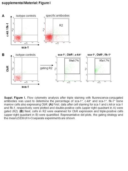 Sca-1 c-kit / flk-1 isotype controls sca-1 ObR gating R2 sca-1 +, ObR +, flk-1 + sca-1 +, ObR +, c-kit + supplemental Material: Figure I Suppl. Figure.