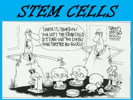 STEM CELLS. Could Stem Cells Be Used to Treat Disease? If scientists can make stem cells differentiate into specialized cells, these differentiated cells.