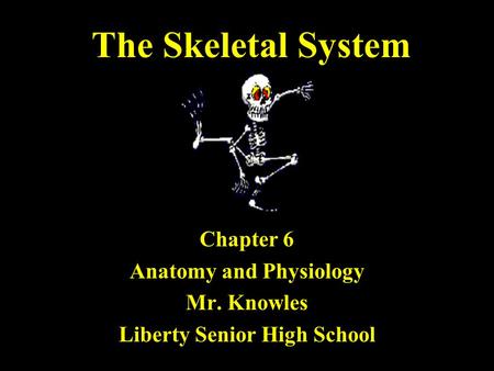 The Skeletal System Chapter 6 Anatomy and Physiology Mr. Knowles Liberty Senior High School.