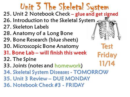 Unit 3 The Skeletal System – glue and get signed 25. Unit 2 Notebook Check – glue and get signed 26. Introduction to the Skeletal System 27. Skeleton Labels.