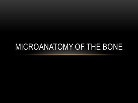 MICROANATOMY OF THE BONE