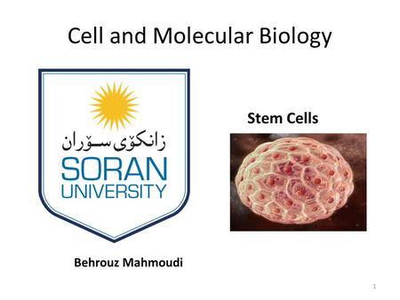 Cell and Molecular Biology