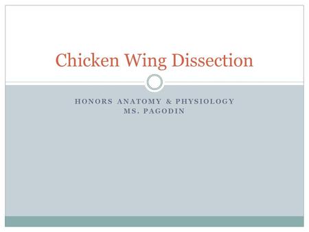 HONORS ANATOMY & PHYSIOLOGY MS. PAGODIN Chicken Wing Dissection.