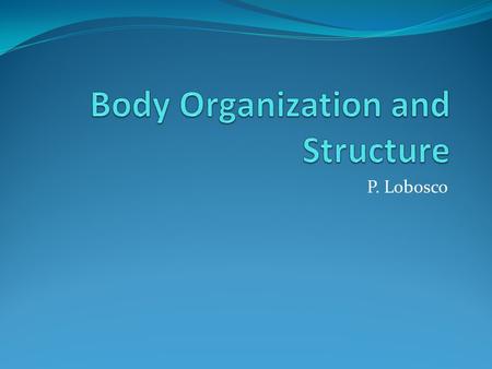 Body Organization and Structure