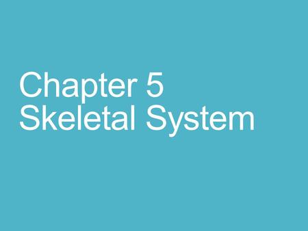 Chapter 5 Skeletal System