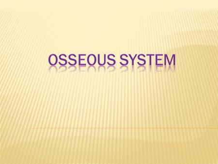 The skeletal system is divided into 2 major parts: Axial skeleton: skull, vertebral column, ribs, sternum Appendicular skeleton: upper and lower limbs.