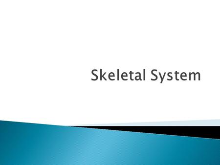 Skeletal System.