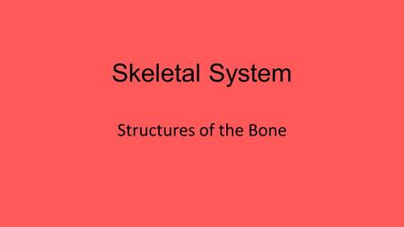 Skeletal System Structures of the Bone. Major Organs Bone Marrow Compact Bone Cartilage Tendons.