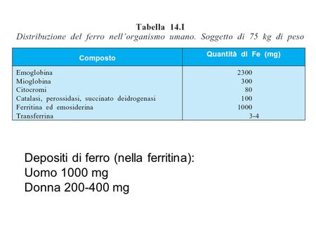 Depositi di ferro (nella ferritina): Uomo 1000 mg Donna 200-400 mg.