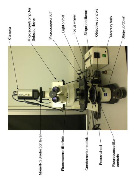 1 2 3 4 5 6 7 8 9 10 11 12 14 13 14 Mercury bulb Camera Microscope on/off Stage up/down Focus wheel Objective controls Fluorescence filter controls Mono/RGB.