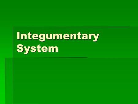 Integumentary System.