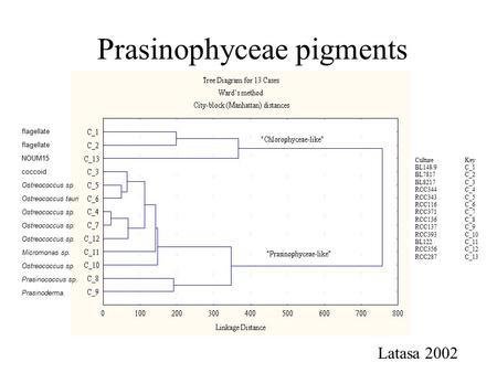 Prasinophyceae pigments CultureKey BL148/9C_1 BL7817C_2 BL8217C_3 RCC344C_4 RCC343C_5 RCC116C_6 RCC371C_7 RCC136C_8 RCC137C_9 RCC393C_10 BL122C_11 RCC356C_12.