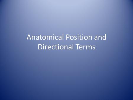 Anatomical Position and Directional Terms