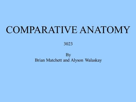 COMPARATIVE ANATOMY 3023 By Brian Matchett and Alyson Walaskay.