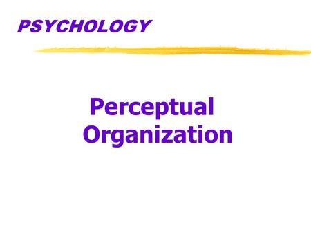 Perceptual Organization