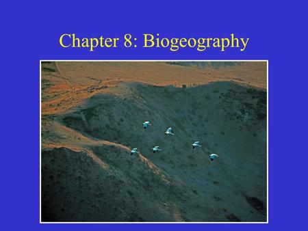 Chapter 8: Biogeography