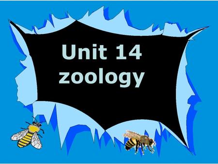 Unit 14 zoology drone 雄蜂 royal jelly 蜂王浆 worker 工蜂 queen 蜂王 beeswax 蜂腊 beekeeper 养蜂人 beehive 蜂箱 honey 蜂蜜 as busy as a bee honeycomb 蜂窝.