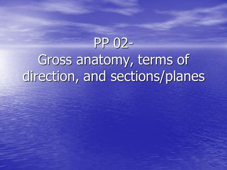 PP 02- Gross anatomy, terms of direction, and sections/planes.