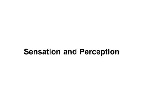 Sensation and Perception