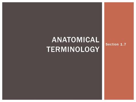 Anatomical Terminology