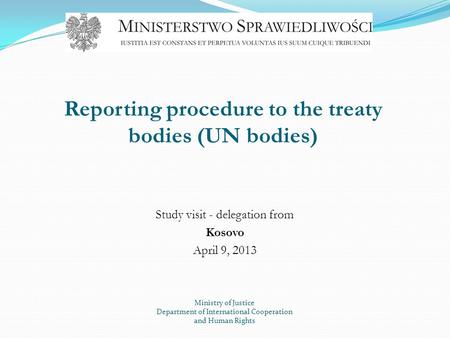 Reporting procedure to the treaty bodies (UN bodies)