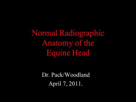 Normal Radiographic Anatomy of the Equine Head